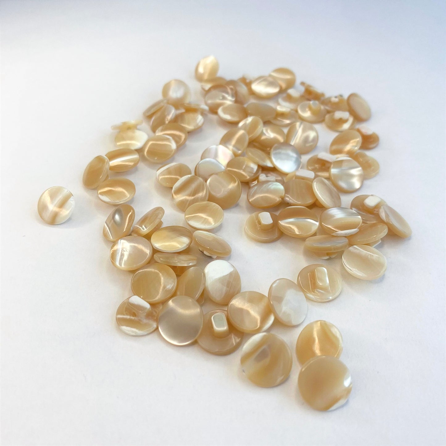11mm Natural Sea Shell Shank Buttons