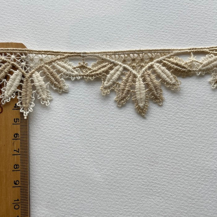 2 toned scalloped guipure lace edging trim. designer deadstock haberdashery - Kleins Haberdashery