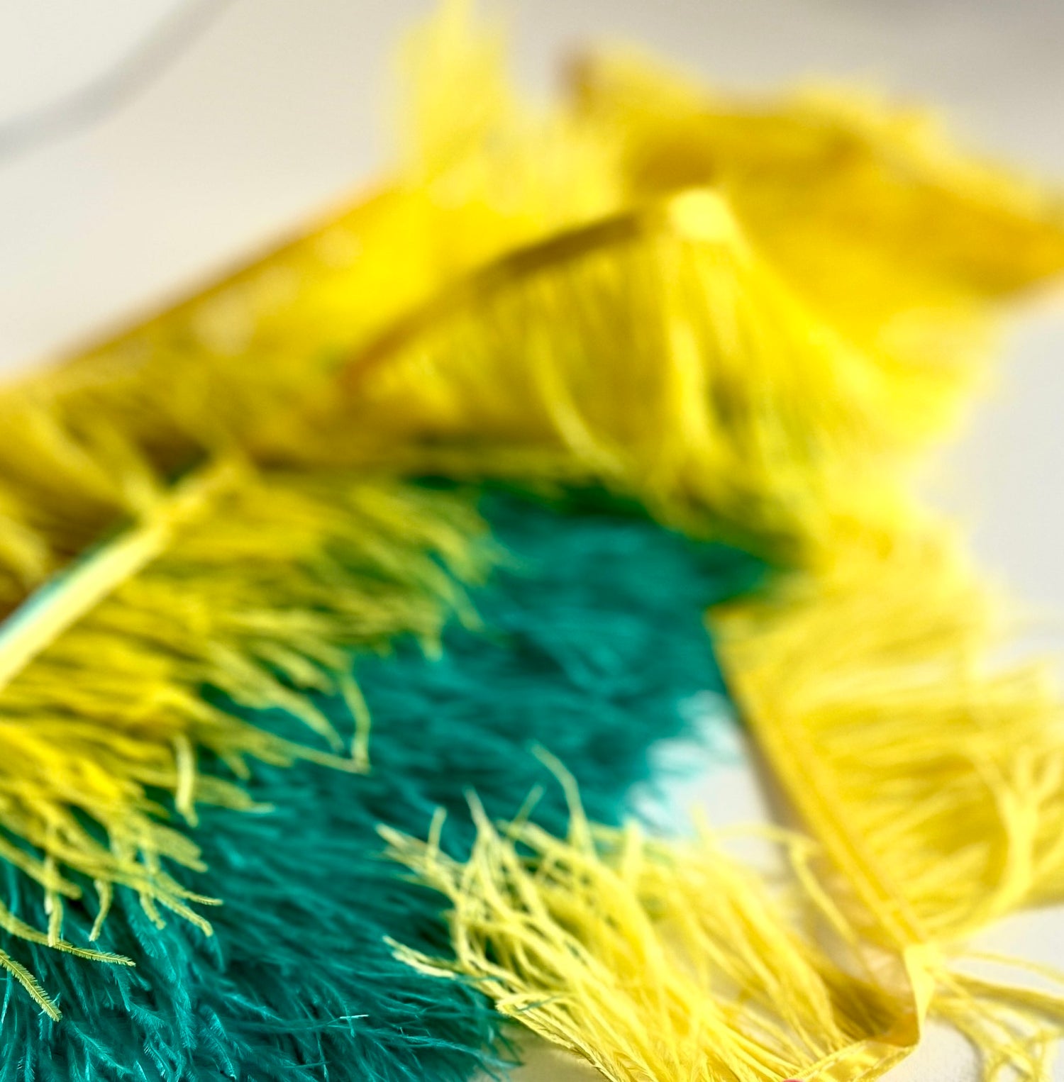 Garnitures en plumes
