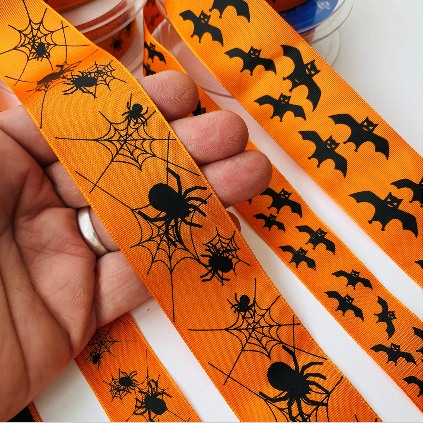 Halloween Ribbon