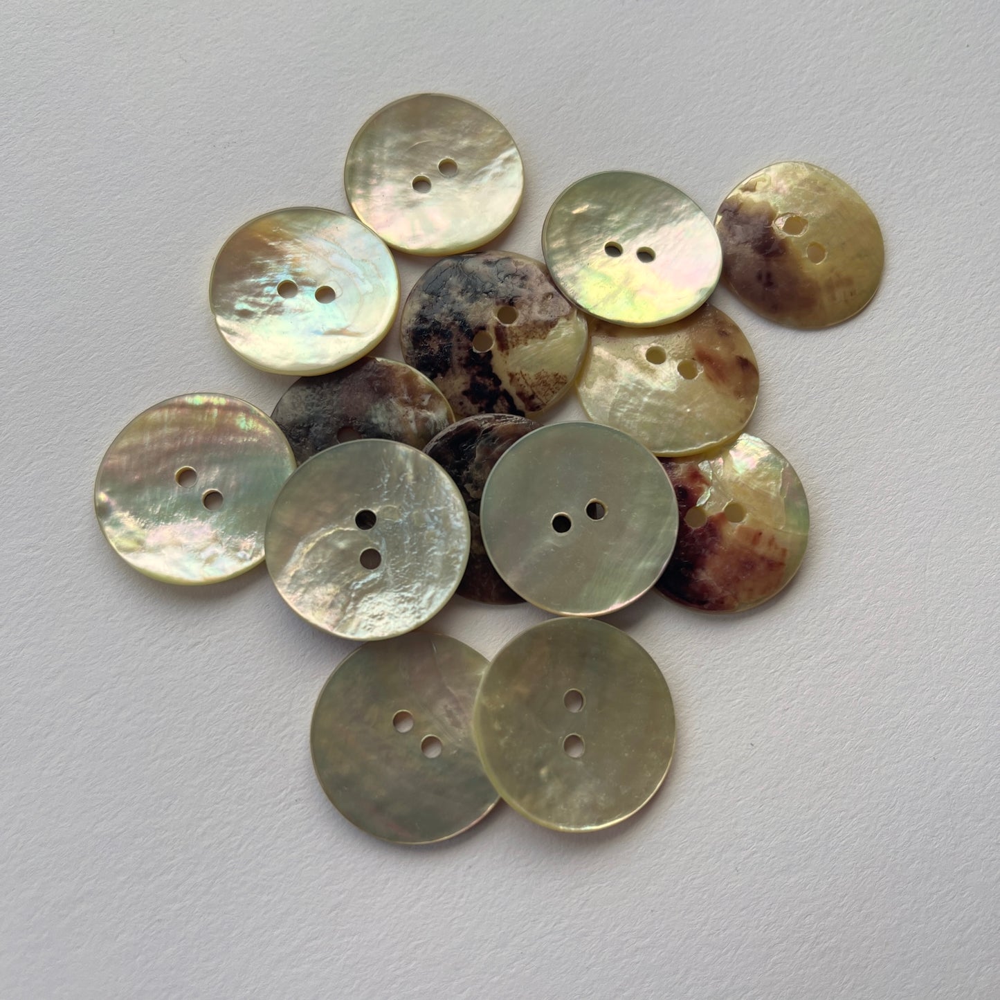 Large Natural Akoya Shell Button - 23mm - Kleins Haberdashery