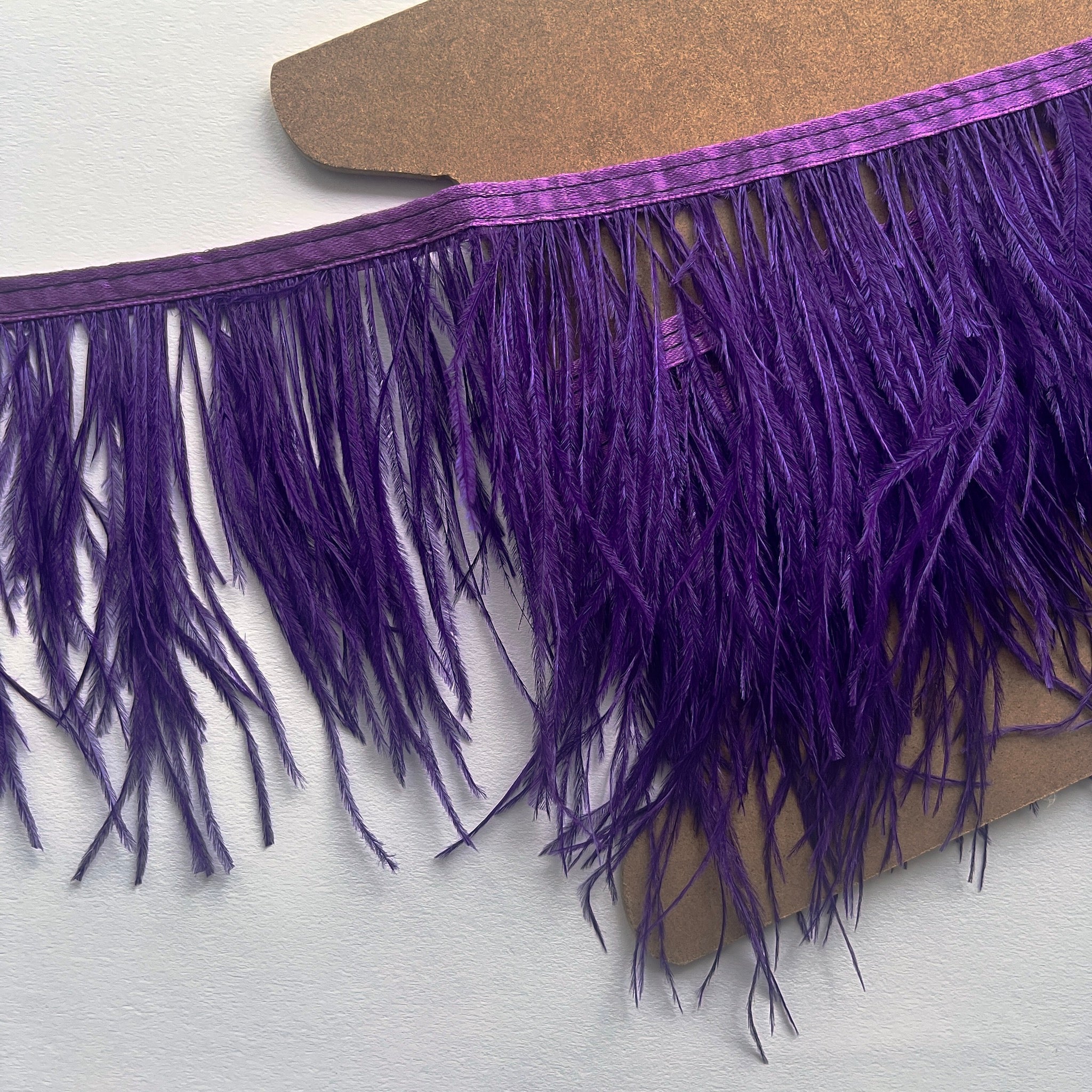 Purple ostrich shop feathers