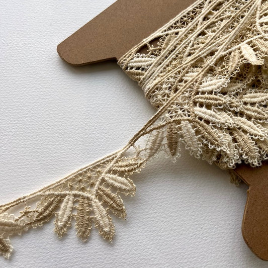 2 toned scalloped guipure lace edging trim. designer deadstock haberdashery - Kleins Haberdashery